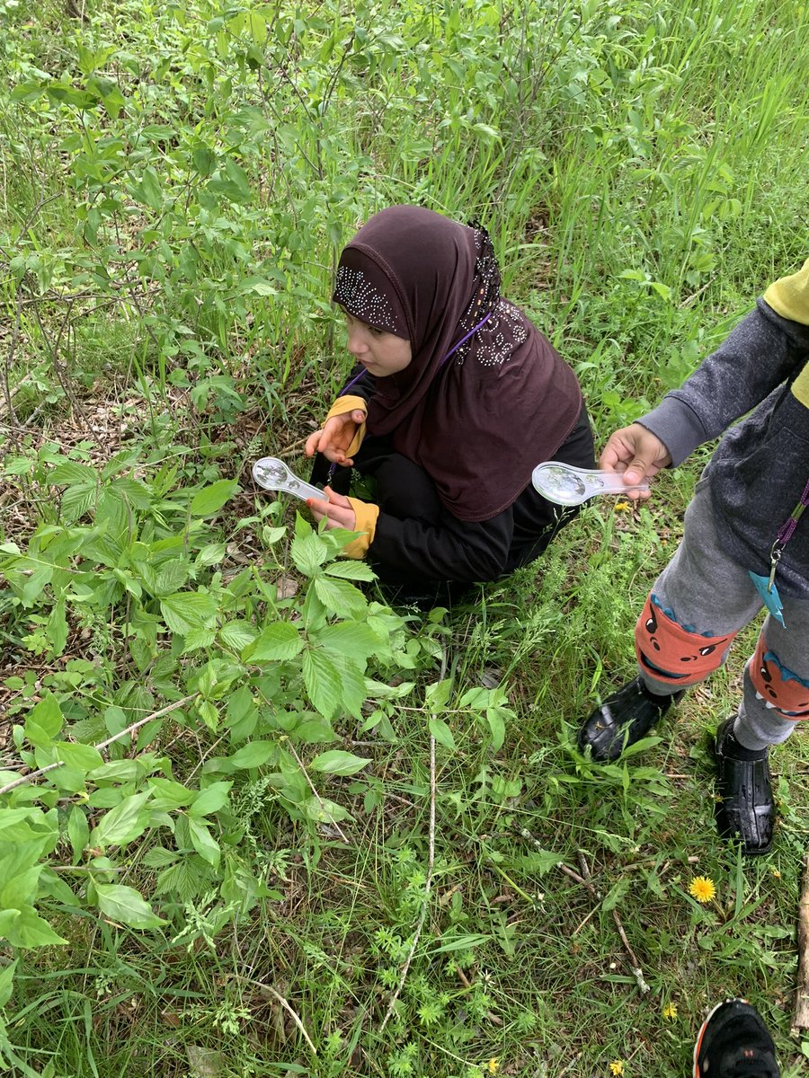 AIC_Dual's tweet photo. The second grade class at AIC had a terrific day at Five Rivers Environmental Education Center today. They learned about animals and animal tracks through hands on activities, and then they had a picnic! @AlbanyENL @albanyschools #allinforalbany https://t.co/e03WHTfTU2