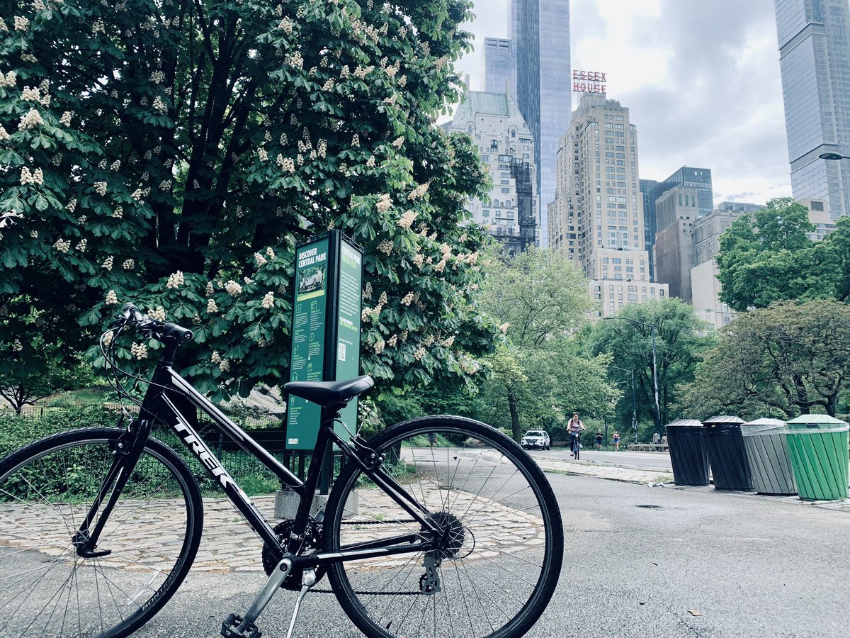 A true bird’s eye view of the NYC skyline from the Central park! Enjoying Learning, meeting friends and exploring the city during #SNRXXII #ASNR2022 Looking forward to the #ASPNR party tonight!