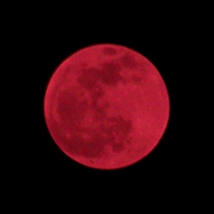 Anthony Inswasty tweet media