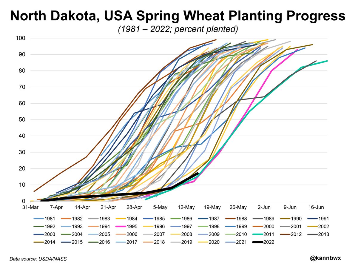North Dakota is planting spring #wheat at about the slowest pace possible. 17% complete as of Sunday is better than only 1995 and 2011 for the date, barely. Conditions have been super wet this spring. ND was set to plant 46% of the U.S. spring wheat acreage this year.