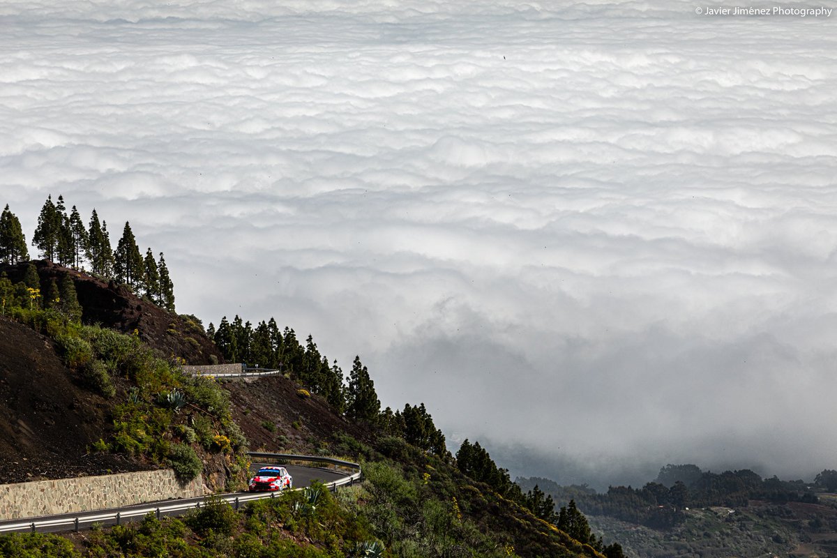 javierjimenezph's tweet photo. ¡Ya disponible mi galería del @FIAERC - @RIslasCanarias 2022 tanto en mi página de Facebook (https://t.co/7EKDZUCShq) como en https://t.co/AiMGB8oB2q !

Viaje de última hora a las Palmas para cubrir mi segunda prueba del ERC https://t.co/nZNTYMdqyj