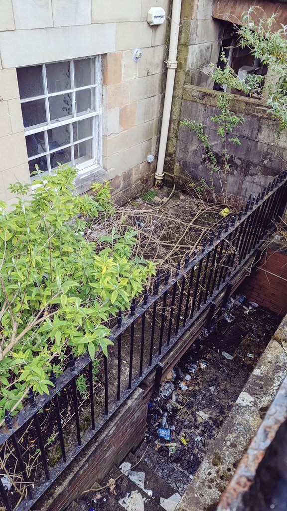 newglasgowsoc's tweet photo. Walking around #BlythswooSquare, it's sad to see that the commercial units to the north side of the square are left rotting. Tourists walking eastward along West Regent Street were left unimpressed with the state of these heritage buildings. #SaveTheBuilding #Glasgow https://t.co/cQvY8pPIY3