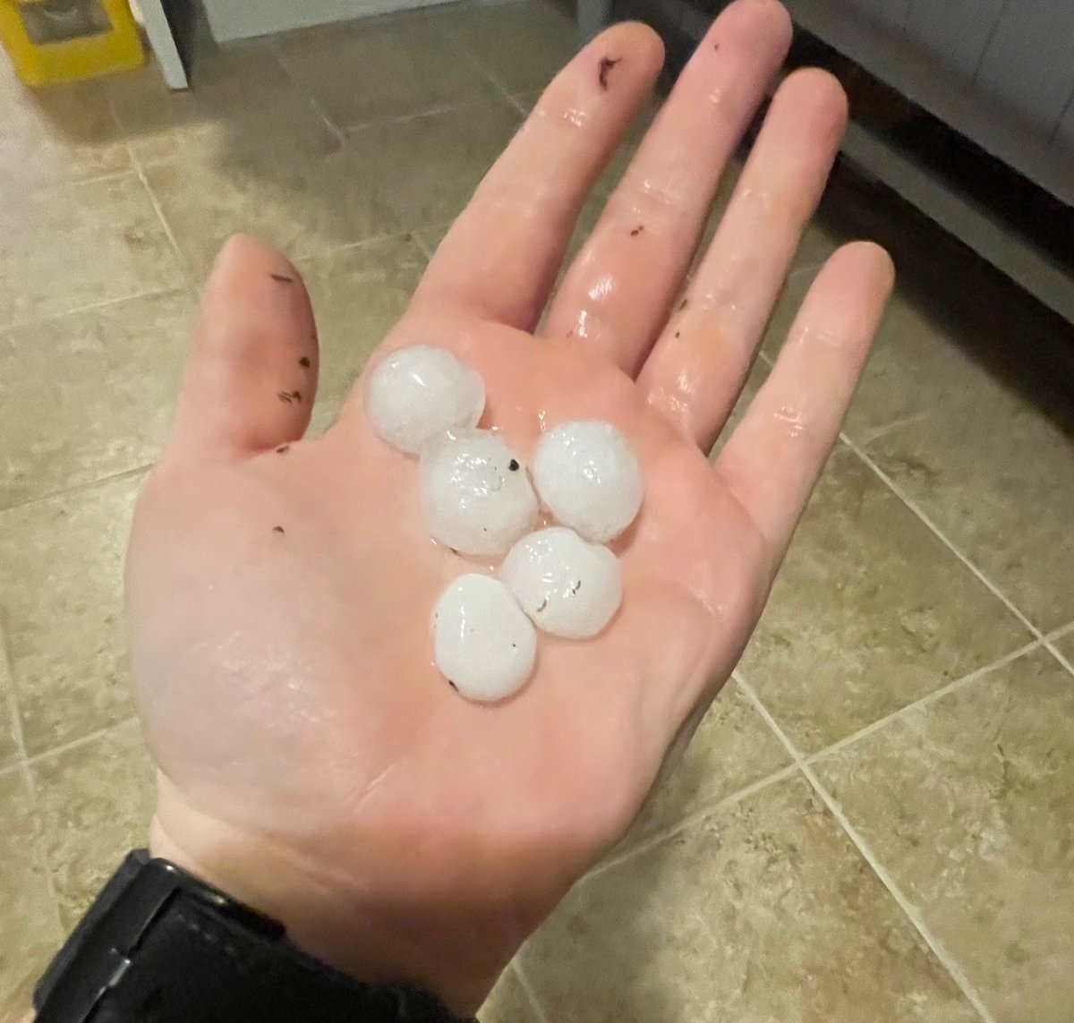 kylecarruthers's tweet photo. @capitalweather nice little marble collection near the Huntington Metro https://t.co/592a2I794p