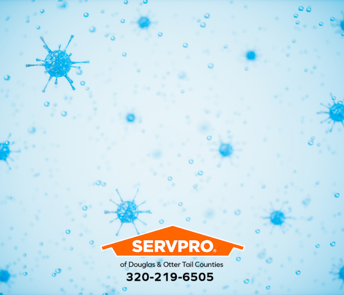 Our local Douglas and Otter Tail Counties team mitigates and restores damage caused by stormwater contamination every year. #SERVPRO #SERVPROofDouglasandOtterTailCounties #SERVPRODouglasOtterTailCounties #DOTC #PropertyDamage #WaterDamage