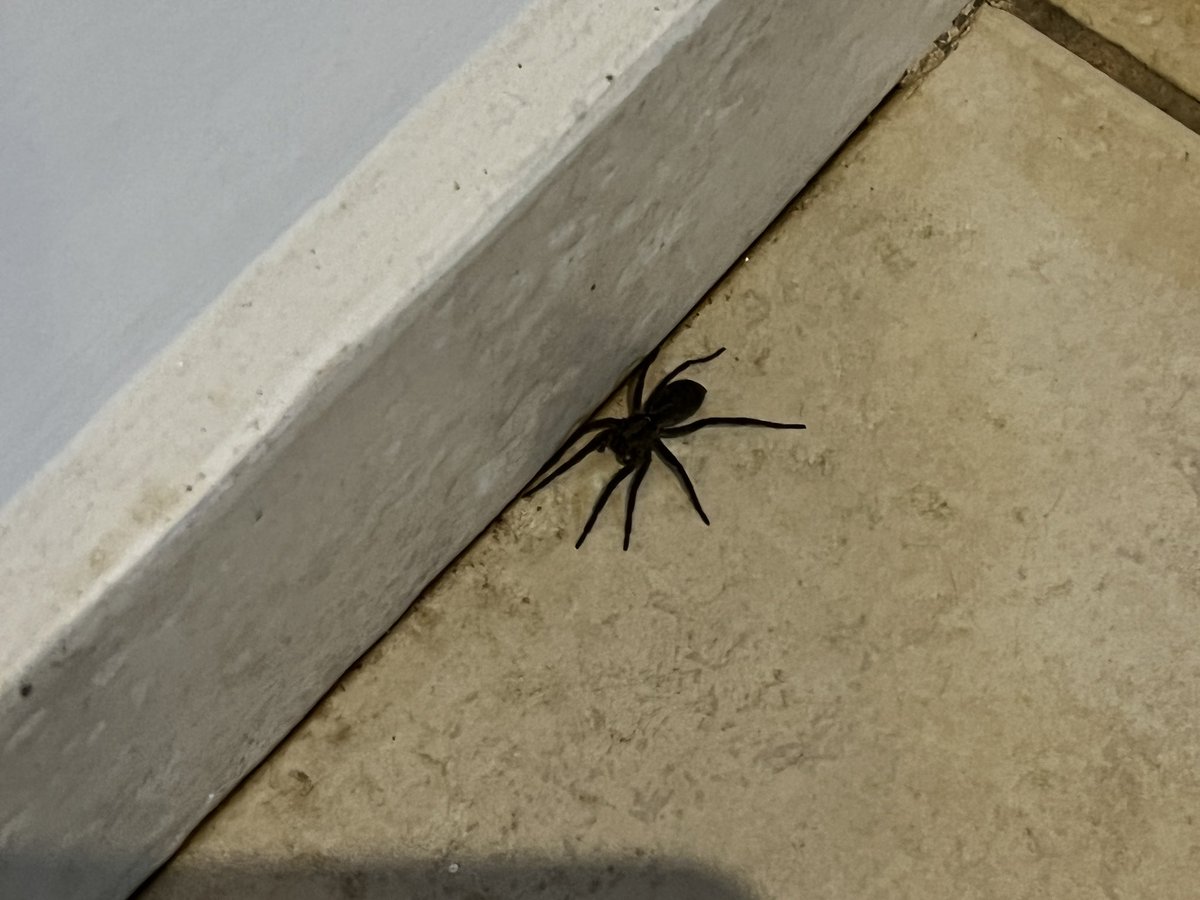 ratoborrachudo's tweet photo. AHHHHHH MANOOOOOWWWWWW, QUAL É ESSA AQUIIIII???? https://t.co/2aYUlvAhPI
