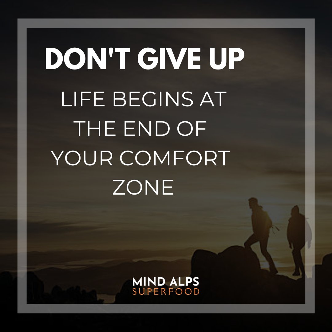 Mind Alps tweet media