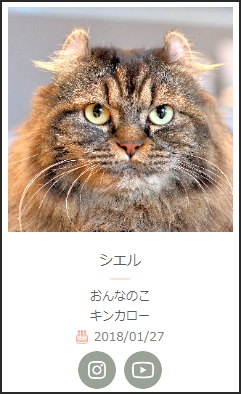 キンカロー四兄弟なんだ。
猫の兄弟姉妹、夢がある。 