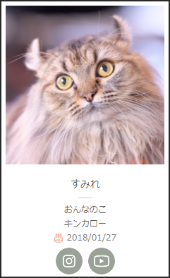 キンカロー四兄弟なんだ。
猫の兄弟姉妹、夢がある。 