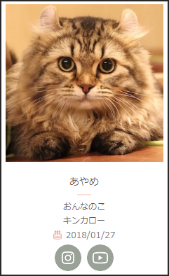 キンカロー四兄弟なんだ。
猫の兄弟姉妹、夢がある。 