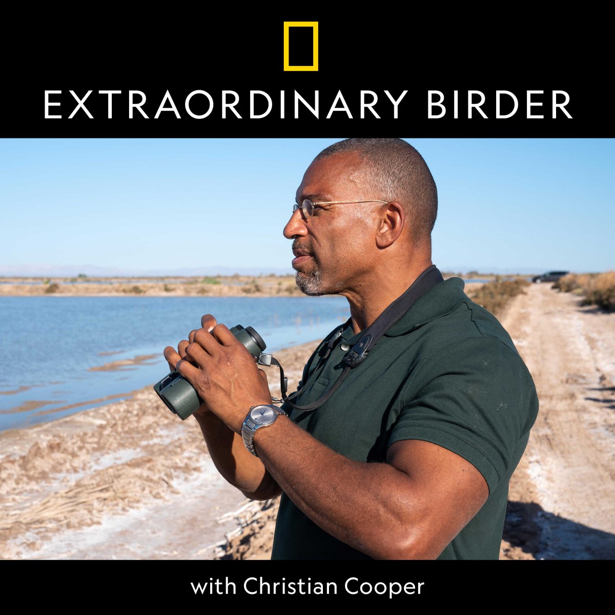 NatGeoTV's tweet photo. Lifelong birder Christian Cooper (@blackburniannyc) will take us into the wild, wonderful and unpredictable world of birds in his new show, The Extraordinary Birder. https://t.co/2ZwTlZ3JmN