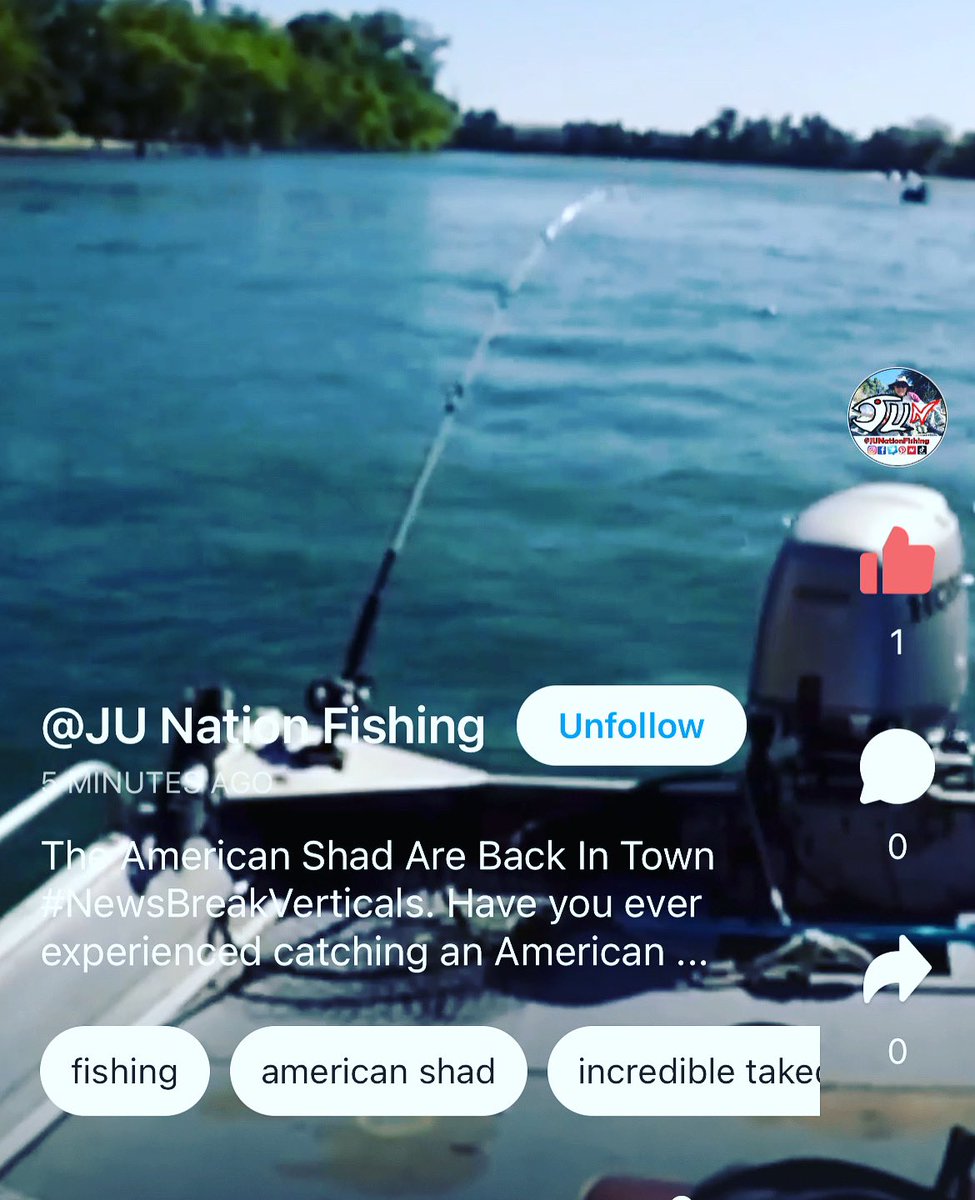 JUNationFishing's tweet photo. #NewsBreakVerticals.  Let’s go!  Wow!  These videos are getting notice! Thank you!!!   If you haven’t already done so, please download the NewsBreak app and follow me.  #NewsBreakApp #AmericanShad #ShadFishing #SacramentoRiver #Fishing #JUHammah #JUNationFishing #NewsBreakFishing https://t.co/rfSkKuweFw