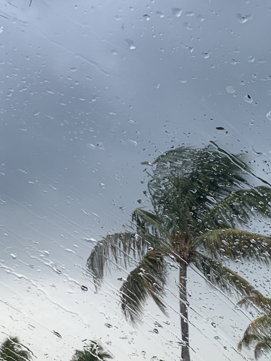 kiikaa___'s tweet photo. i love rainy days 🌧🤍 https://t.co/D5GLwquAq3