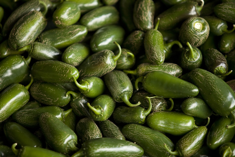 Did you know that capsaicin determines the heat in a pepper? 🌶
Learn more: ncfieldfamily.org/farm/facts-sta…