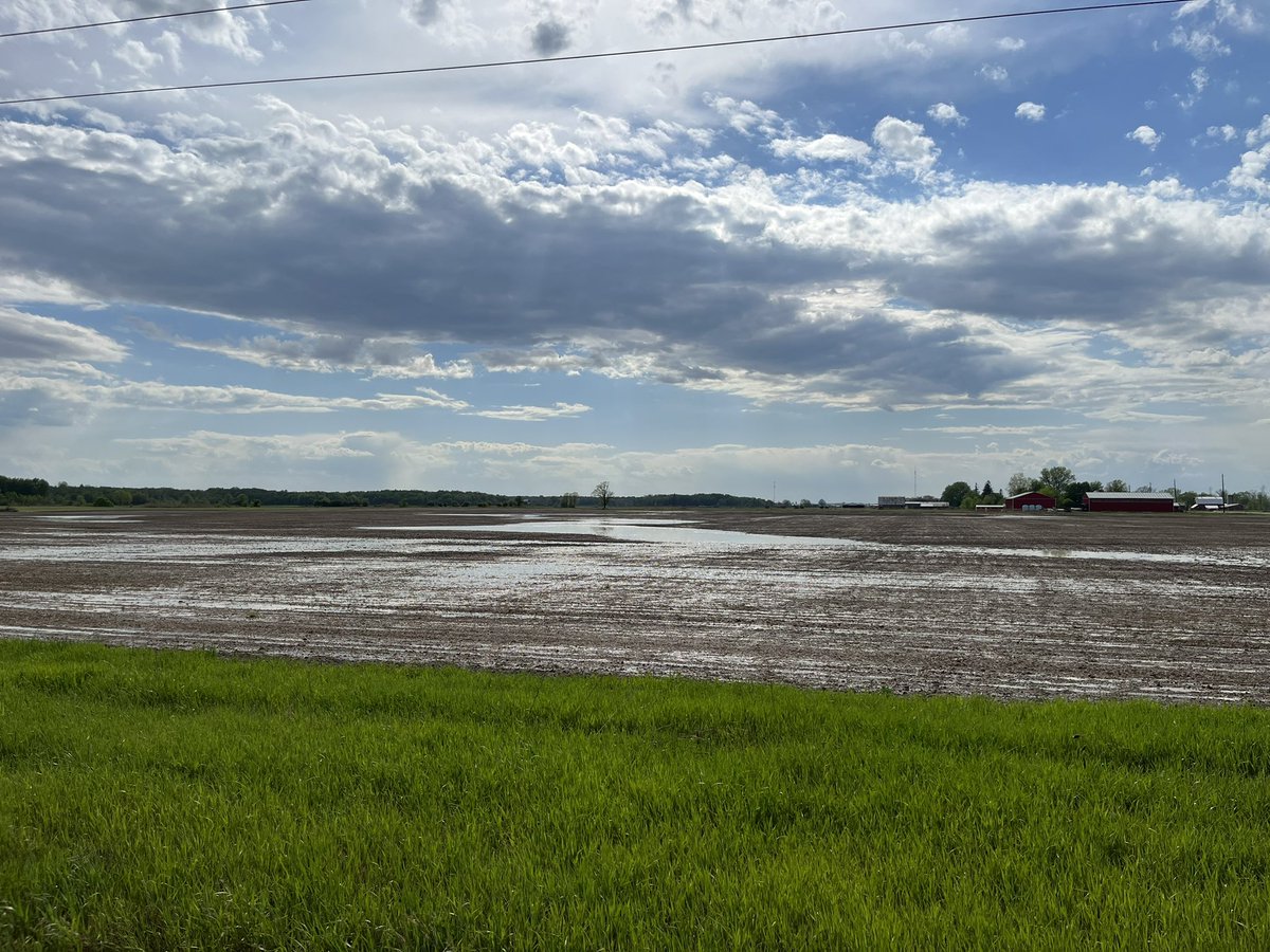 Leigh Irwin tweet media