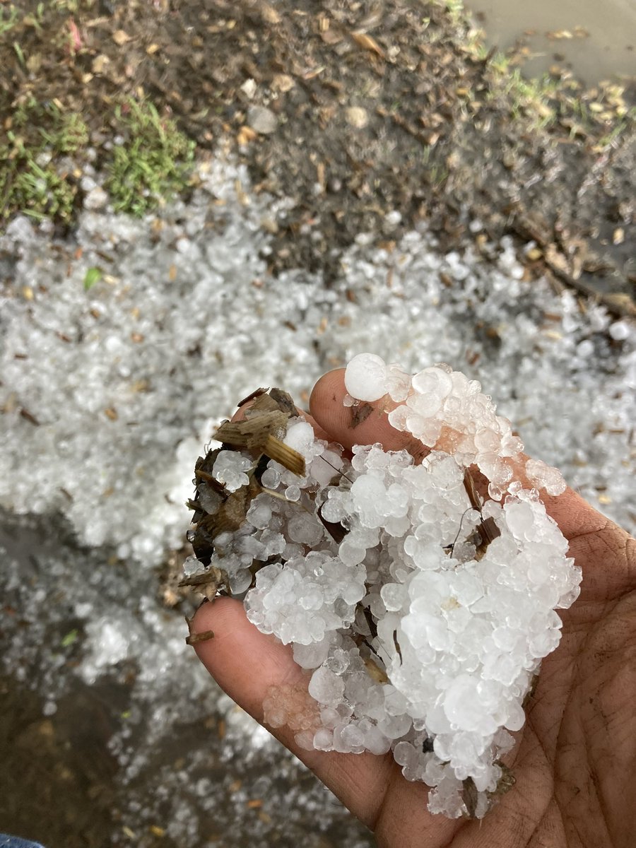 Leigh Irwin tweet media