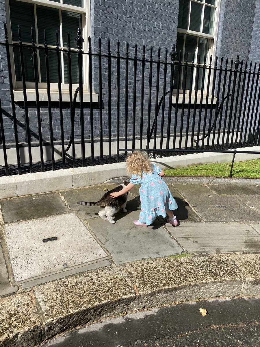 howlett_leanne's tweet photo. We keep fighting because every parent deserves support when struggling with their mental health 💜 I feel so privileged to have been invited to present the petition today at Downing Street & to speak at @NSPCC parliamentary event on behalf of parents #FightForAFairStart https://t.co/VmoBXBiCsl