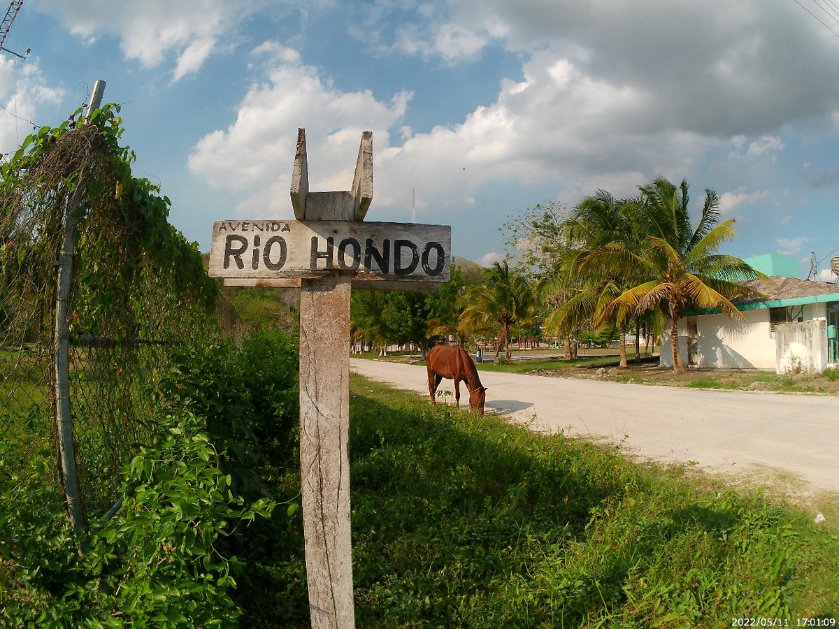 AmigosSianKaan's tweet photo. 💧Amigos de Sian Ka’an promueve la conservación y manejo integral del agua en Río Hondo.  💧
La semana pasada concluimos los diagnósticos socioambientales en La Unión y Ramonal.

#FundacionGonzaloRioArronte #SACTUN #ProyectoDemostrativo #CuencaRioHondo #MAR2R #AmigosDeSianKaan https://t.co/a9k9XZoHIU