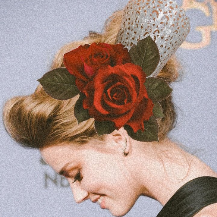 Una peineta para todo el que se meta.

#FarewellSophie