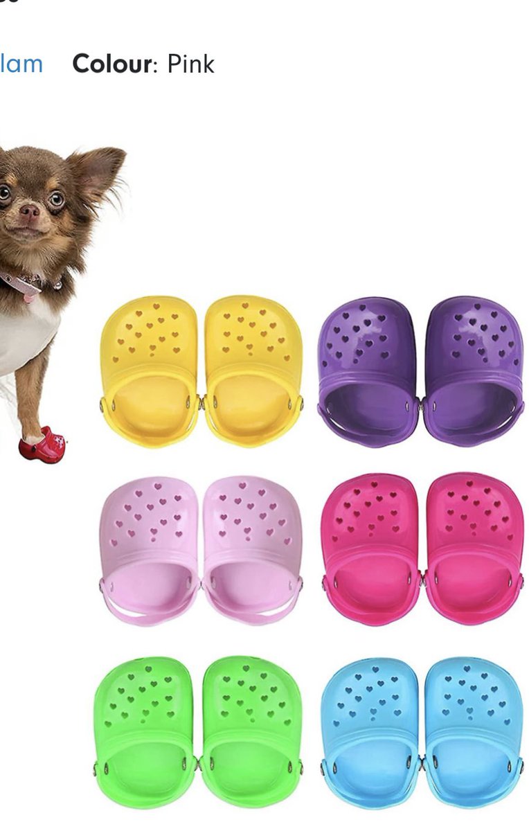 Sonntag1M's tweet photo. @sharon58642664 @awkward_1110 @_Pehicc @DebbieS00060220 @chevysgirl11 Dolly tell #slavemom to order a pair of these dog sandals immediately. Absolutely necessary for protection of your princess paws πππ https://t.co/diqHOdWqFe