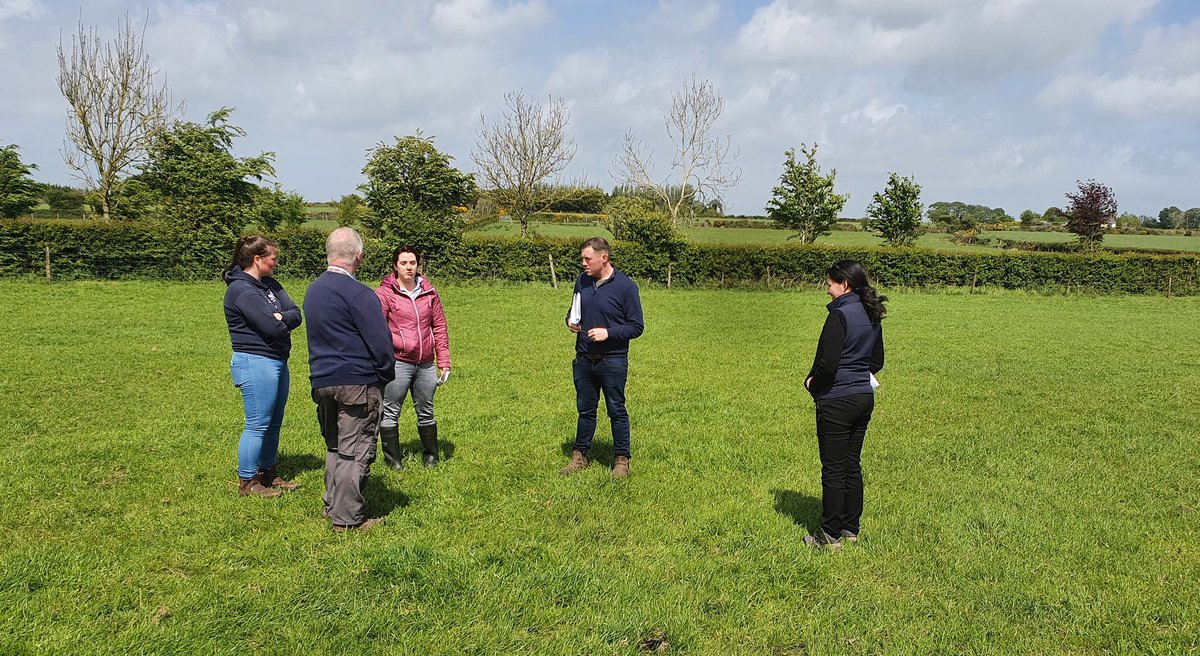 john1_farrell's tweet photo. Looking forward to a great event on Thursday. Great to get out on farm last week to hear Peadar and Aoifes story and make final preparations. 575 ewes, 230acs, excellent grazing infrastructure, optimum soil fertility, clover and lots more #igasheep #igaevents @MullinahoneCoop https://t.co/Yh0ipj46EE
