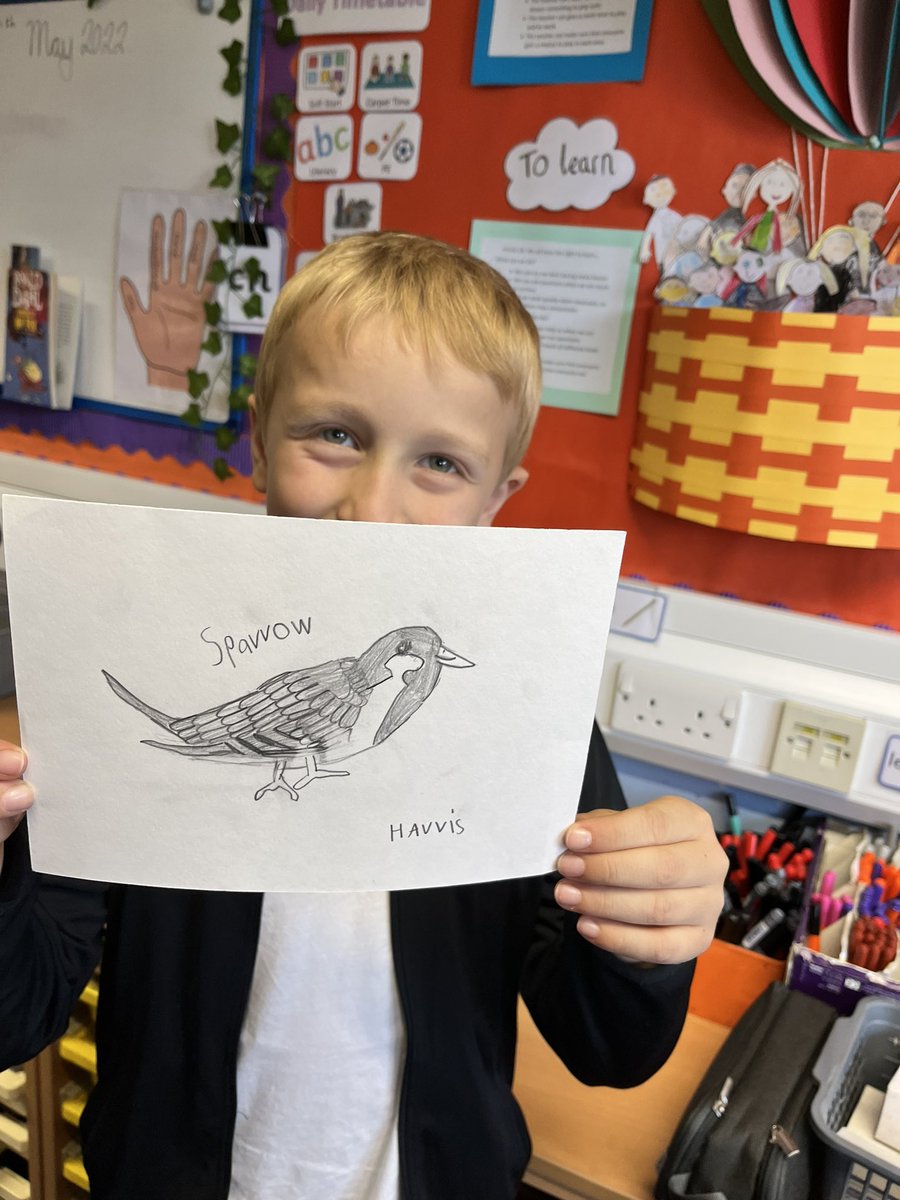 MrsCMuirCPS's tweet photo. Primary 3 sketched these wonderful House Sparrows today 💚🐦🪶@MissRafferty4 @MissBonar_ @carmondean_ps https://t.co/WBVQZiBiKe