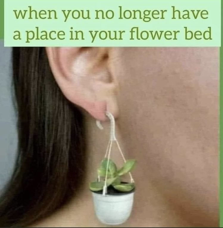 Southern Gardening tweet media