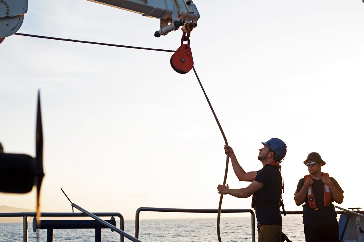 Marley Parker tweet media