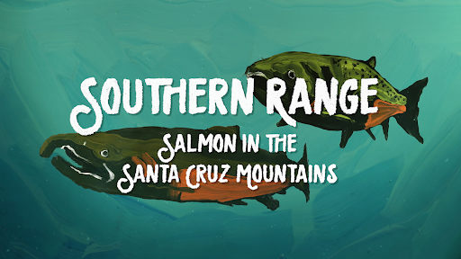 Seymour Marine Discovery Center (@seymourcenter) on Twitter photo Attend the 🎞WORLD PREMIERE🎞 of “Southern Range: Salmon in the Santa Cruz Mountains,” at the <a href="/SeymourCenter/">Seymour Marine Discovery Center</a> on 5/19. Explore connections the community has with salmon and the impact of the 2020 CZU Fire.
More information here: seymourcenter.ucsc.edu/calendar_event…
#SalmonWeek #filmpremiere Attend the 🎞WORLD PREMIERE🎞 of “Southern Range: Salmon in the Santa Cruz Mountains,” at the <a href="/SeymourCenter/">Seymour Marine Discovery Center</a> on 5/19. Explore connections the community has with salmon and the impact of the 2020 CZU Fire.
More information here: seymourcenter.ucsc.edu/calendar_event…
#SalmonWeek #filmpremiere
