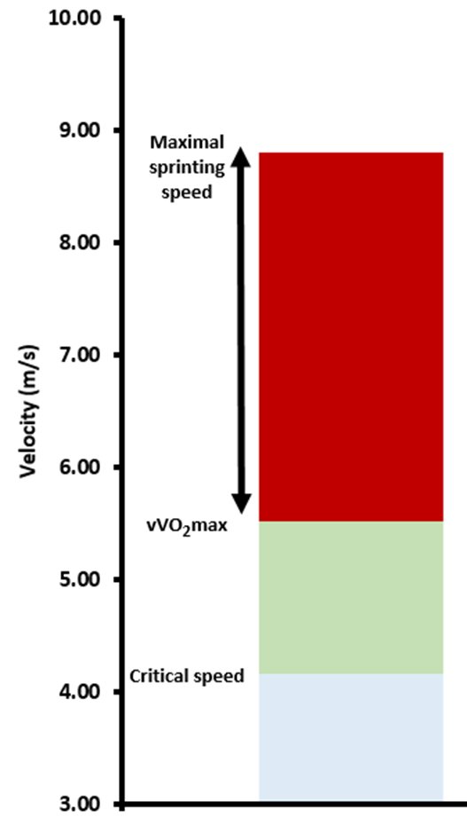Working just under your critical speed

Provides the highest level of aerobic stimulus 

Without the fatiguing recovery cost of VO2max work,

And can be done in higher volumes more consistently.