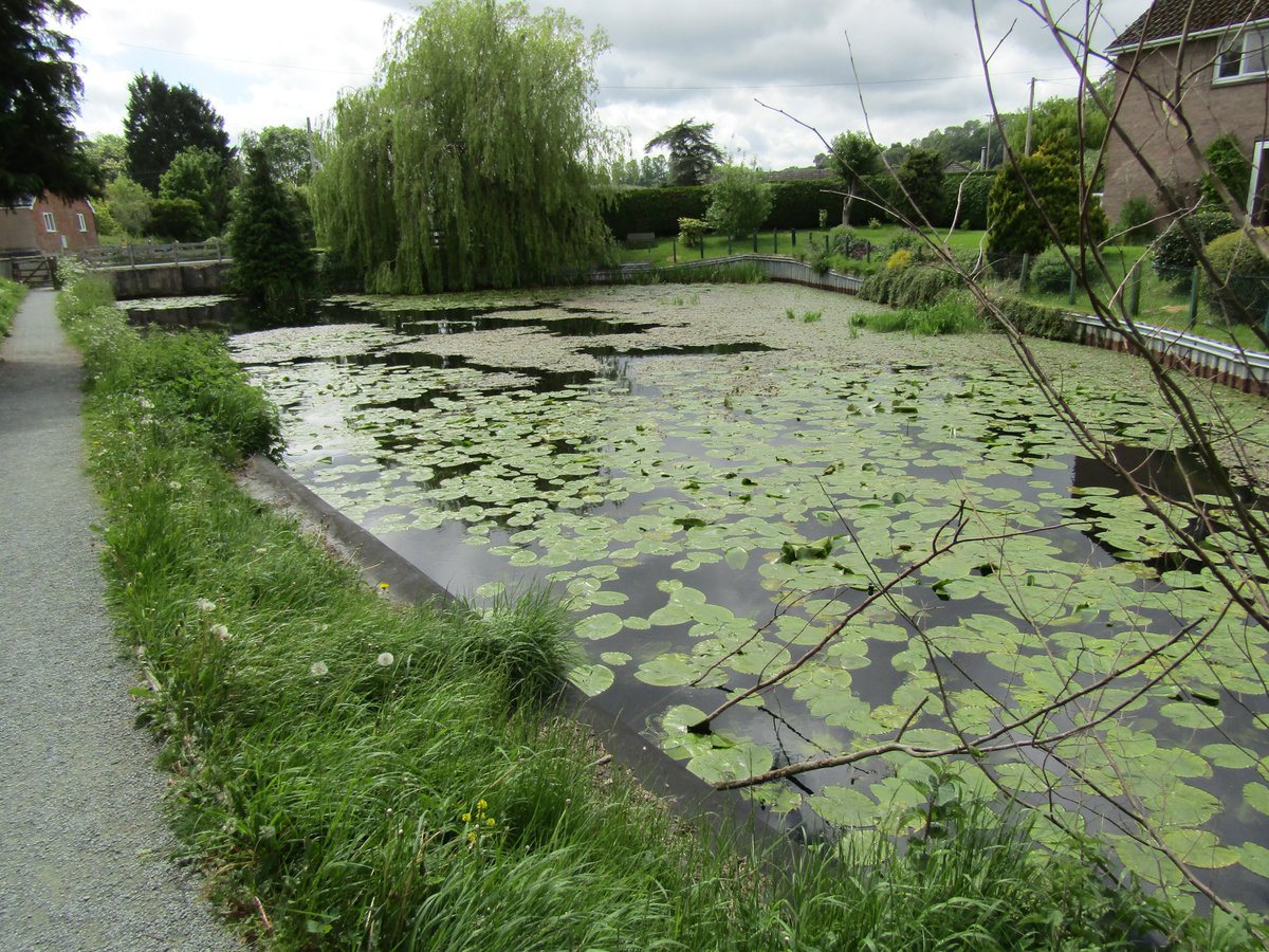 WhyyouColin's tweet photo. lovely day for a walk along the #MontgomeryCanal and got back to the car just before the rain came down #Berriew #Refail #Garthmyl https://t.co/FIPTK7qW71