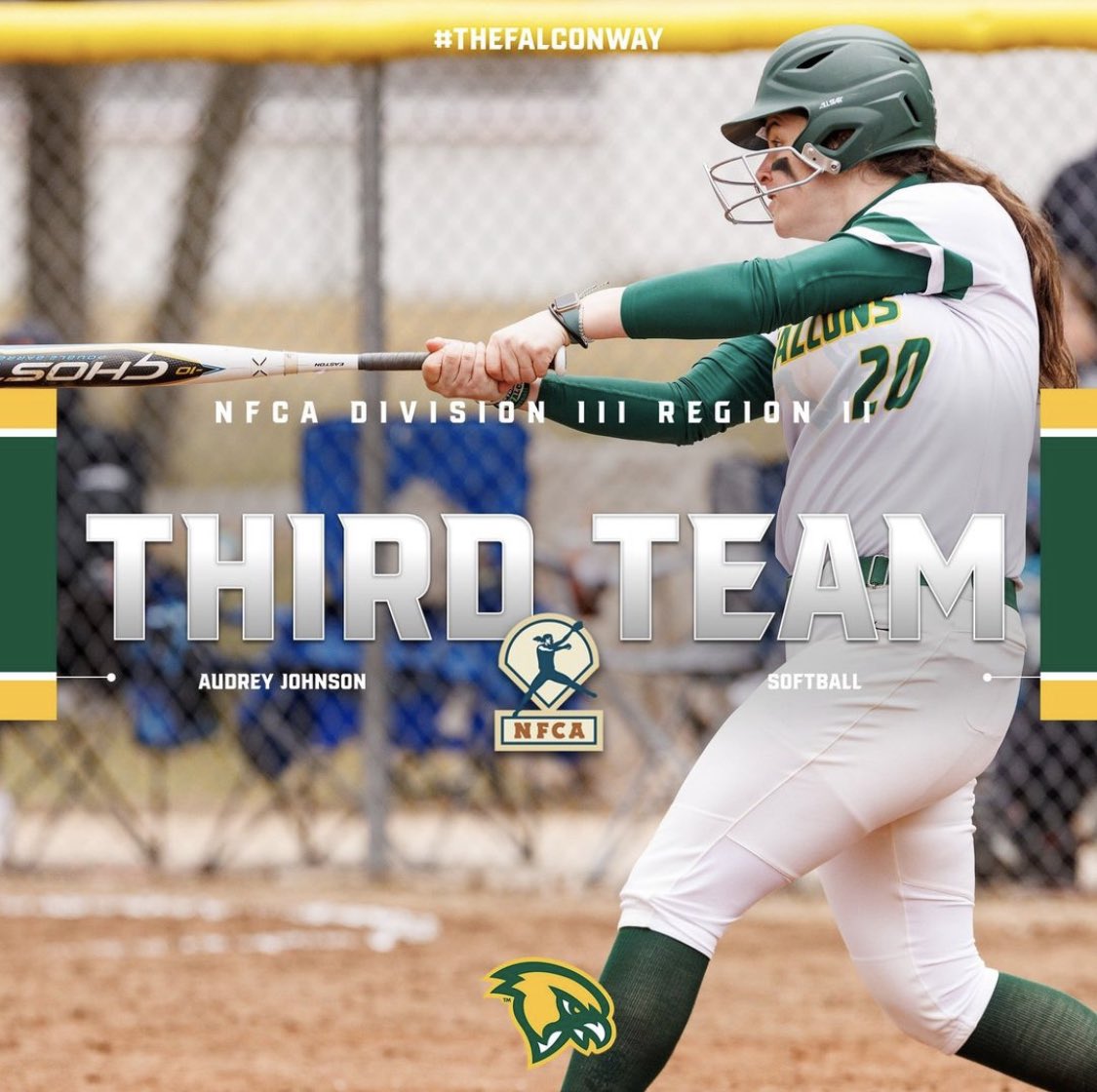 FSU Falcon Softball tweet media