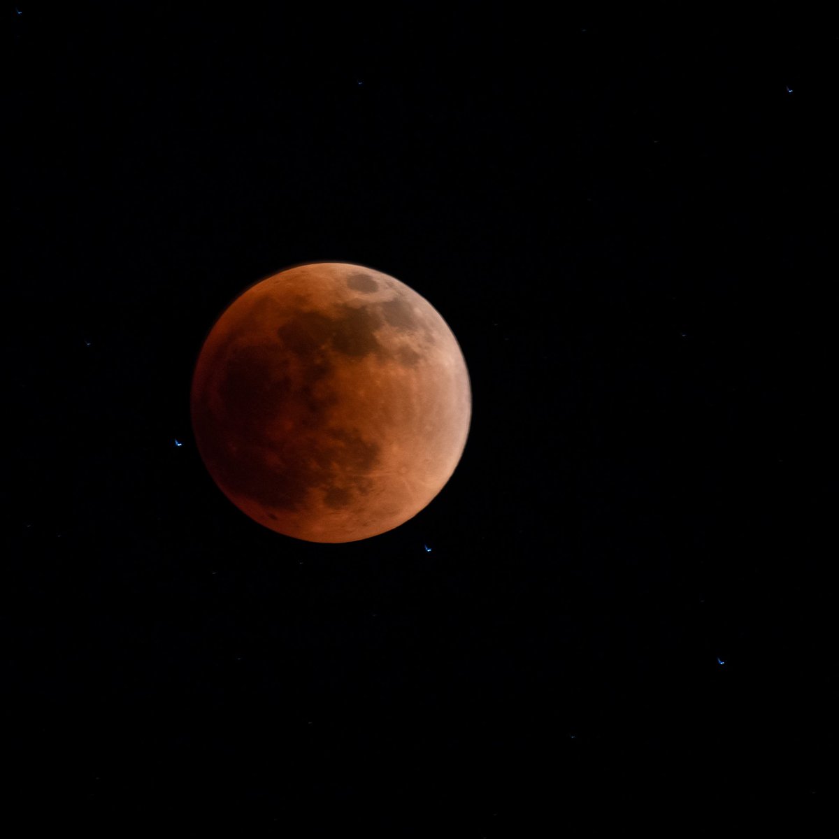 JK_Multimedia's tweet photo. Last night’s lunar eclipse.
#eclipse #LunarEclipse #BloodMoon #CorpusChristi https://t.co/1Da6OZop9j