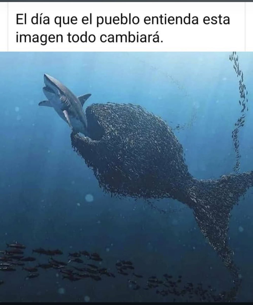 Verofede888's tweet photo. Así de simple 👌 https://t.co/7xEnUVh0l3