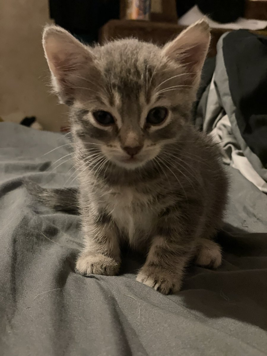 sidekickryan's tweet image. Almost 7 weeks