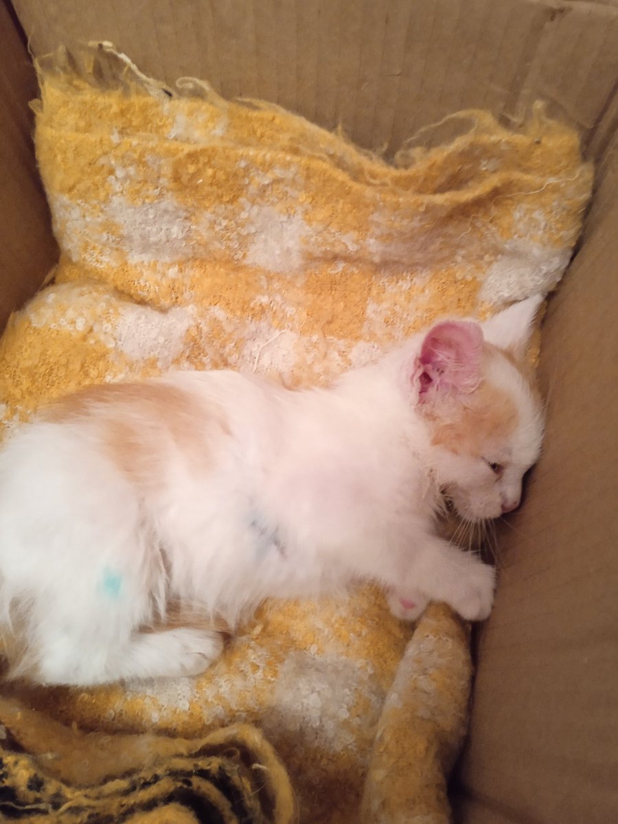 Просто читатель🇺🇦💙💛 tweet media