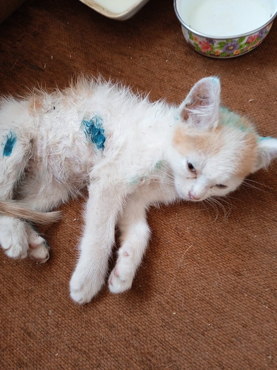 Просто читатель🇺🇦💙💛 tweet media