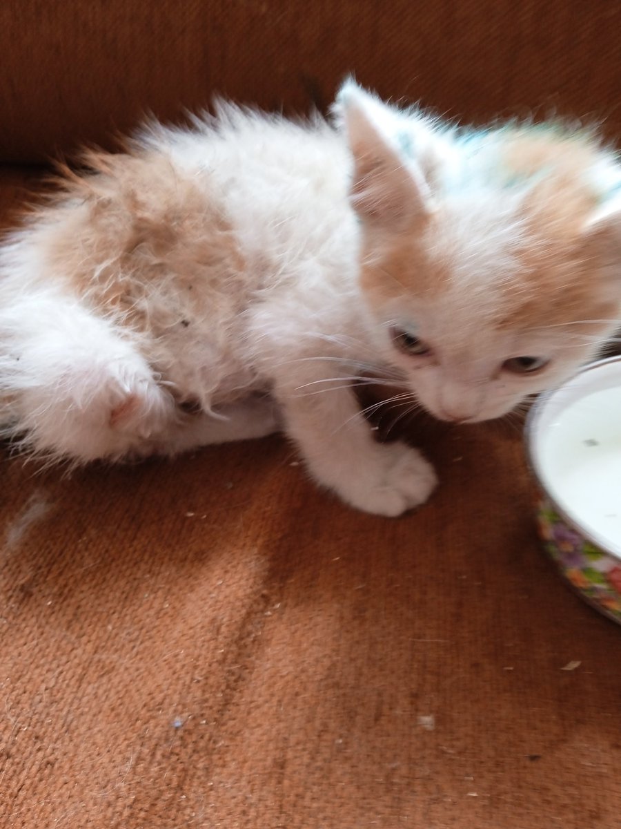 Просто читатель🇺🇦💙💛 tweet media