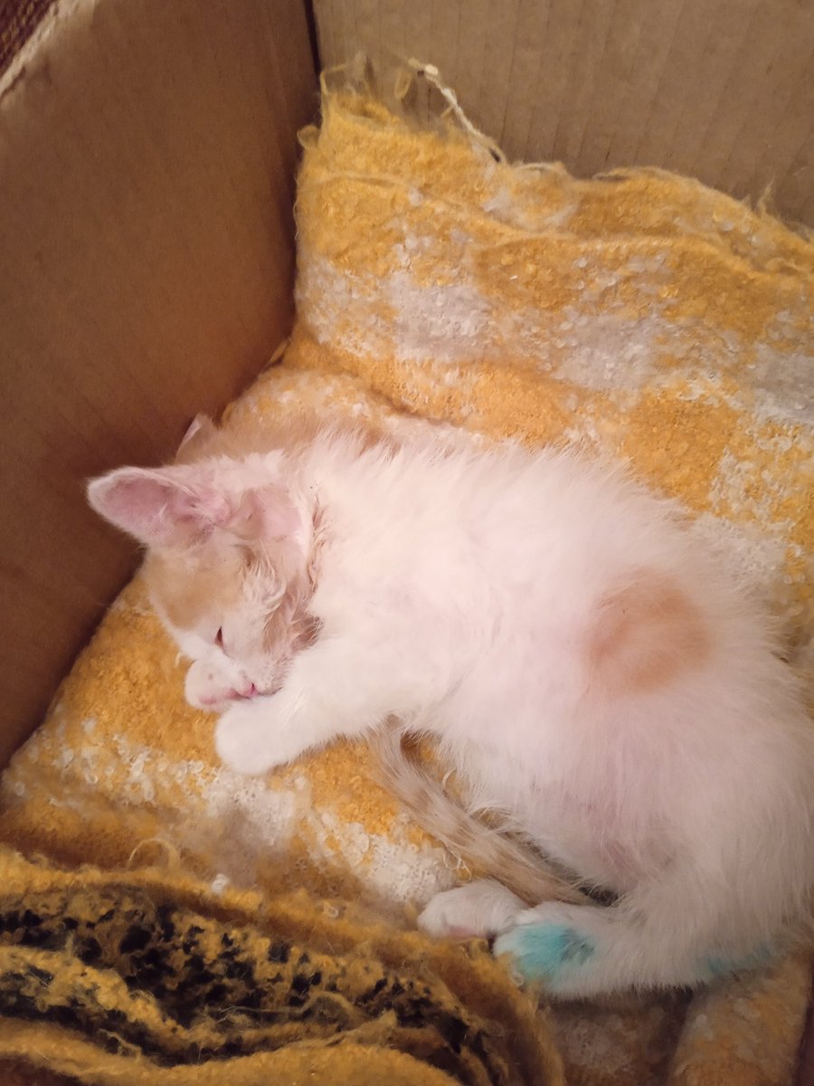 Просто читатель🇺🇦💙💛 tweet media