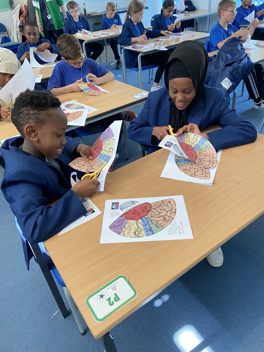 DrJoUK1's tweet photo. Highlights of #STEM4Me at @KingsHeathPri cool warrior pose, brain hat making and measuring heart rate #STEMLearning @UoNPsyched @Psychops @remaunder @KhpaPrincipal @d_khpa @MattBerkshire13 https://t.co/hI9wNm23qL