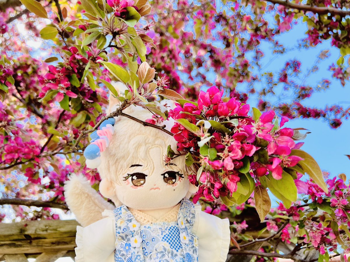 Bangtan_Chuu's tweet photo. Flower viewing 🌸

#bts  #btsdoll #kpopdoll #taehyung #방탄소년단  #棉花娃 #cottondoll #무속성 https://t.co/bkRNs9Is82