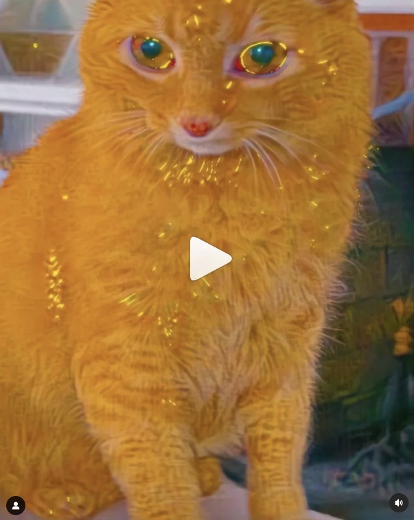 JohnMar77301444's tweet photo. fractalgasm
See this Instagram video by @ https://t.co/J4FFFEXhy3
#CatsOfTwitter #catsofinstagram #catlover #catlife #fractalgasm #visionaryart #psychedelic #psychedelicart #luciddreams #sacredgeometry #visualart #visuals #tripping #luciddreams https://t.co/CzY5UBWd5b