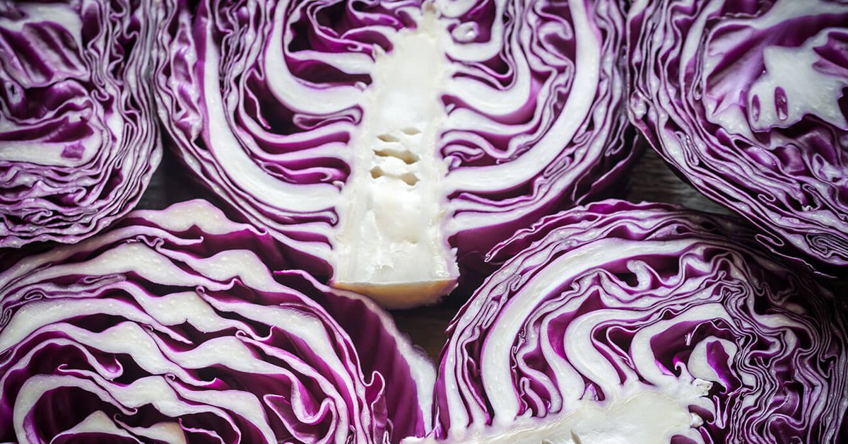 drrondojr's tweet photo. Quanto Mais #Repolho Roxo, Melhor (+ 8 Receitas Keto com #Repolho)
https://t.co/mM15oyikBx
#SaladaDeRepolho https://t.co/513ljea1I8