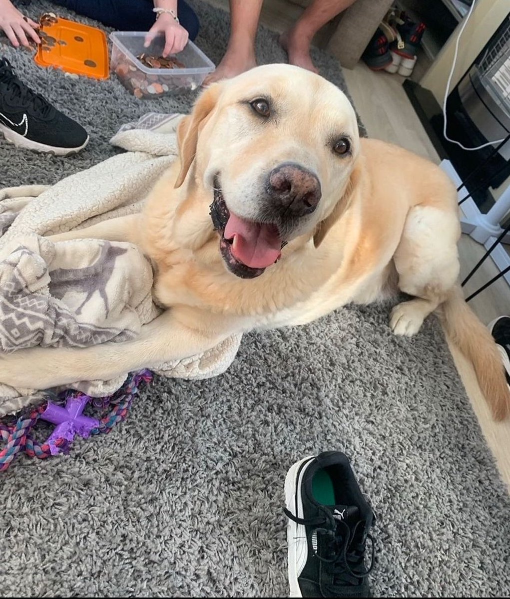 Blind guy advantage (@blindguyadvanta) on Twitter photo 