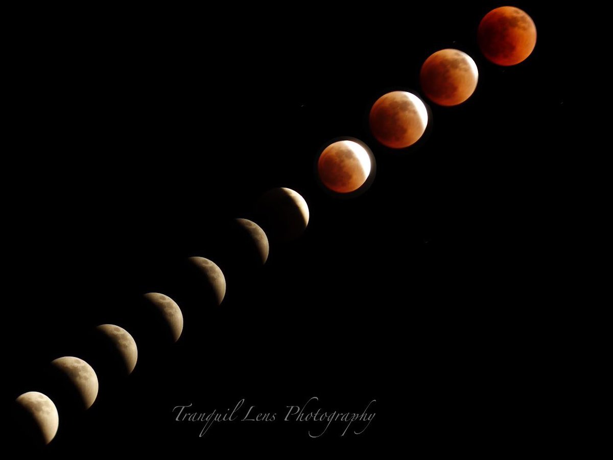 TranquilLens's tweet photo. #LunarEclipse #BloodMoon #photostack https://t.co/auEUN4Knzk