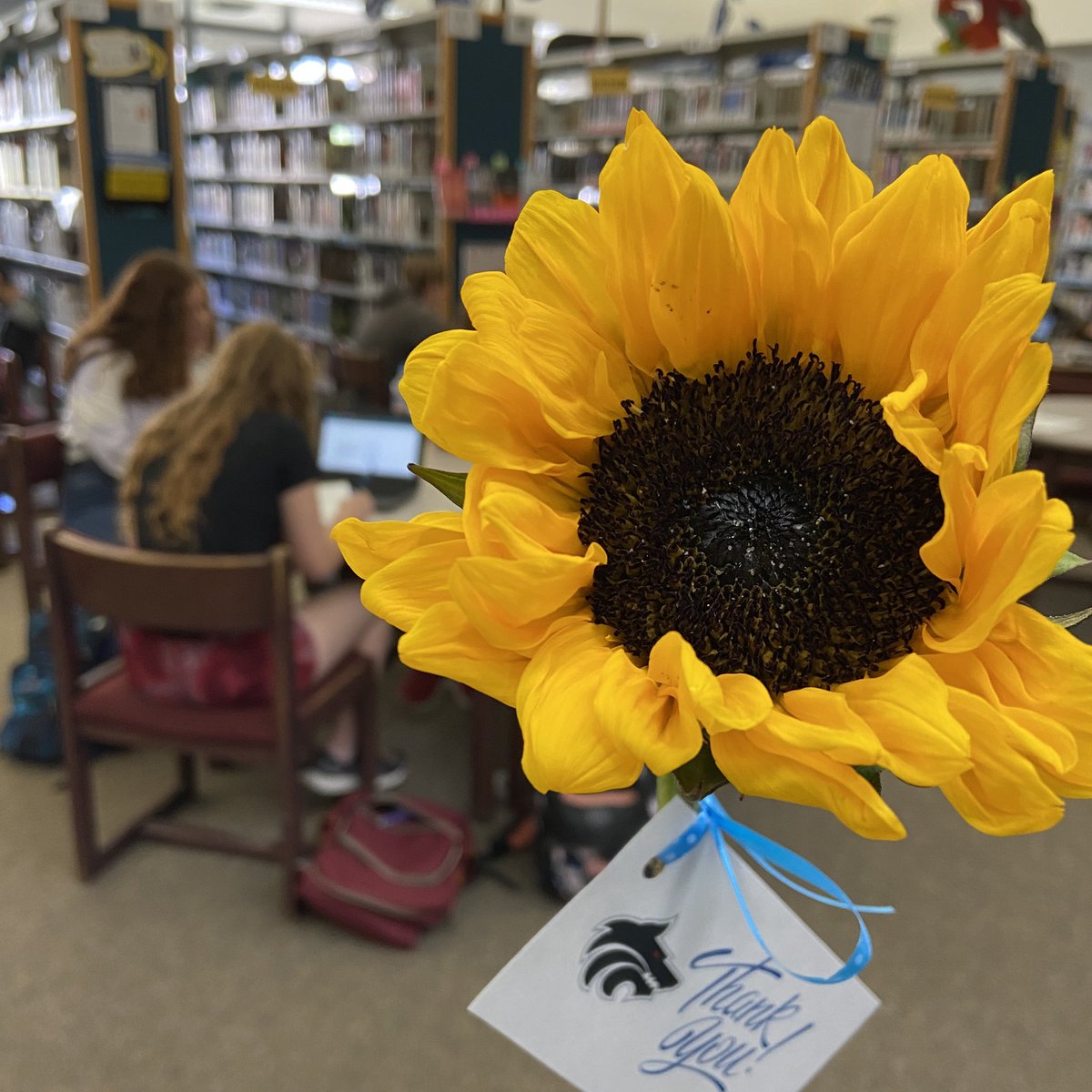 WestHillsLIB's tweet photo. Thank you to Mrs. Gaeir for offering sunflowers for staff to gift one another in gratitude and to our fabulous finance tech Ms. Herman for the kind shout-out! #whhspack #bestpackever #grateful https://t.co/EM1VrjqySx