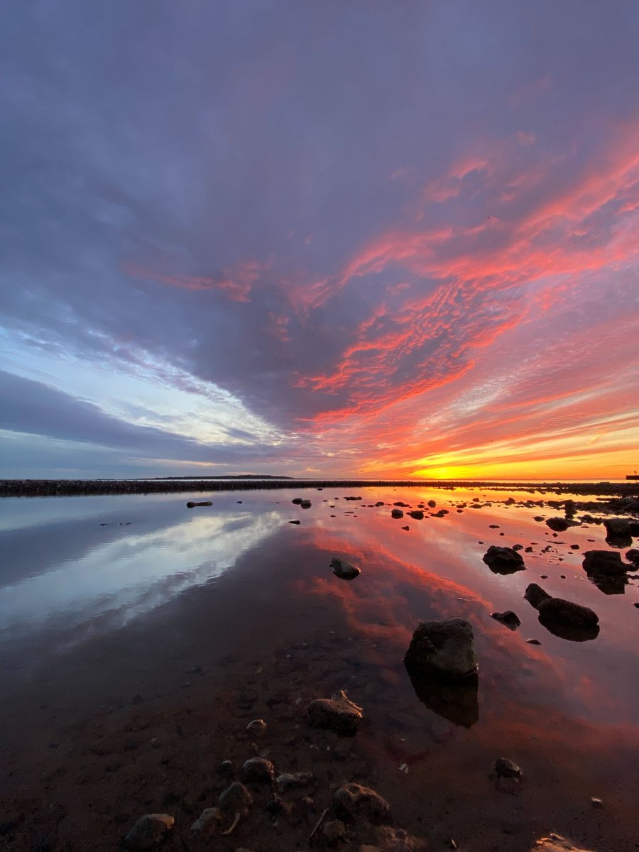 MicroSensing's tweet image. Today the #microsensor2022 course started with an amazing sunset as viewed from the field station (photo by Amin Huber)
22 participants from all over the world will get introduced to microenvironmental sensing over the nex 9 days.
