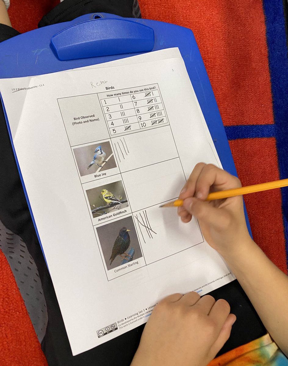 Erin Kowalevicz, NBCT tweet media