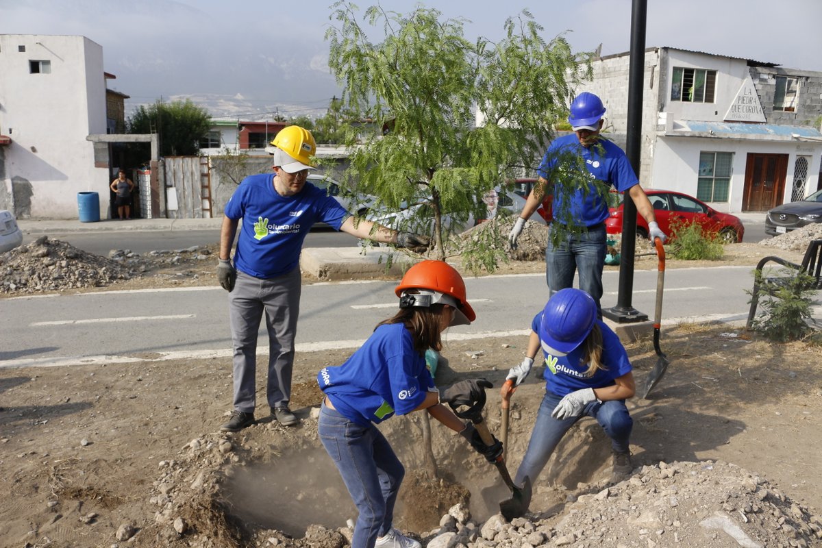 RedAmbiental_Mx's tweet photo. En conjunto con @FrisaFundacion y 60 voluntarios llevamos a cabo nuestro programa #RedForestando con la siembra de ¡67 árboles nativos!🌳
#RedAmbiental #SomosMuchoMasquelosdelaBasura #ResponsabilidadSocial #MedioAmbiente #Ecologia https://t.co/Rd1txHamCr
