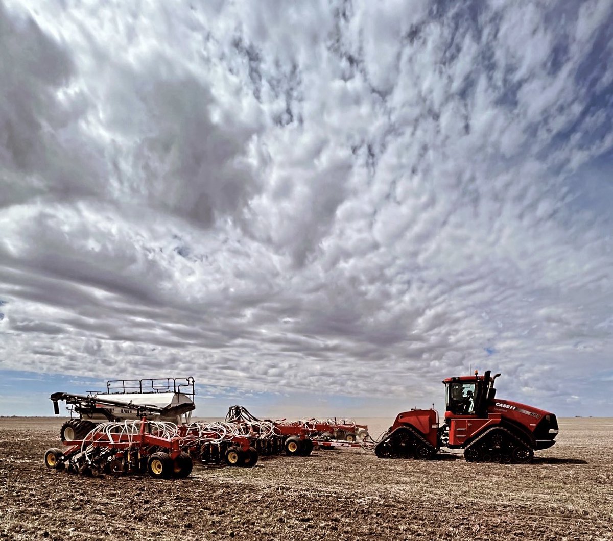 Bkingc4's tweet photo. #Plant22 rolling along nicely! The end is in sight! @RedheadEquip @BourgaultAg #RedheadEquipmentPLANT2022 #lifesagardendigit https://t.co/e7FIcYaRTJ