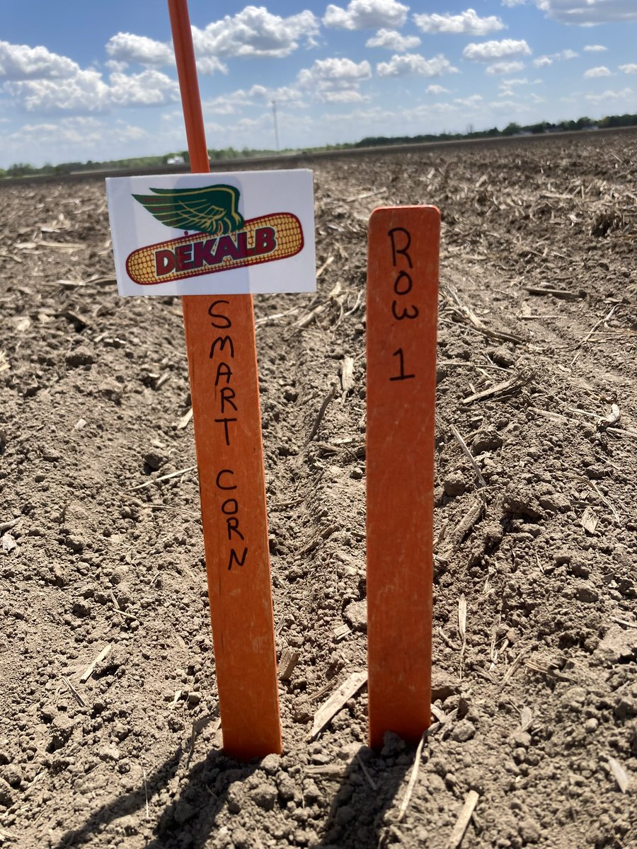 DKCAS_MI's tweet image. Looking towards the future!  #SmartCornSystem (AKA Short Corn) trials going in the ground across Michigan and N Ohio! . #Bayer4MI #Bayer4OH #Plant22